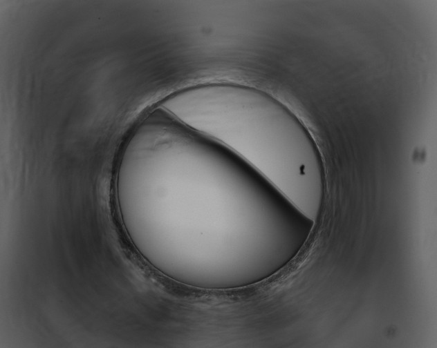 X0000101970434200807180730