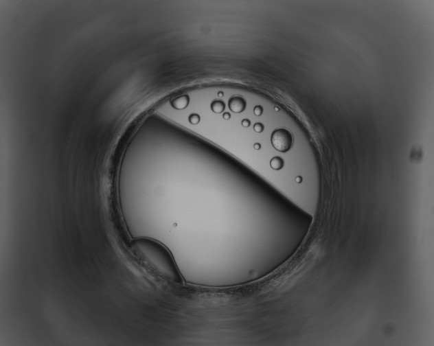 X0000101970435200807180730