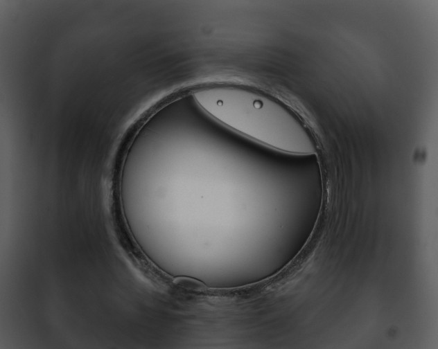 X0000101970436200807180730