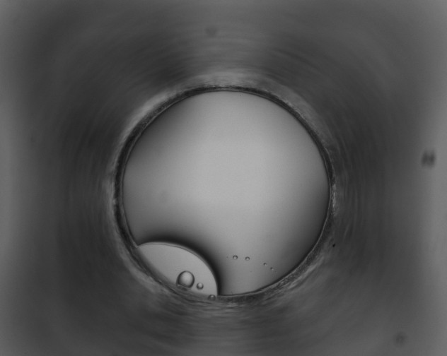 X0000101970438200807180730