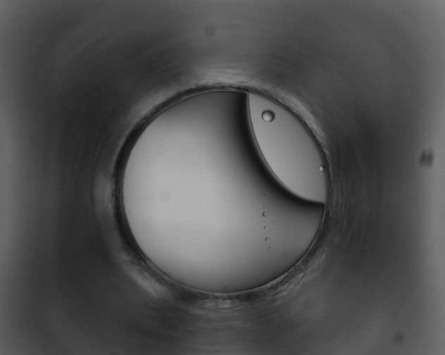 X0000101970439200807180730