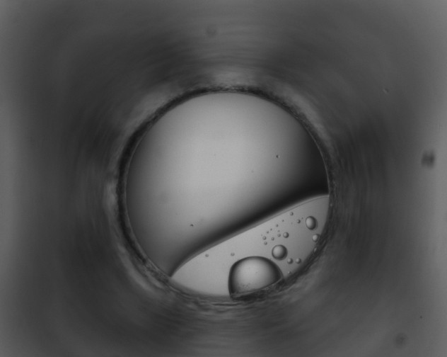 X0000101970443200807180730