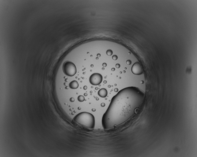 X0000101970444200807180730