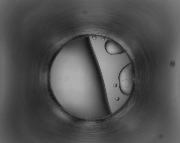 X0000101970445200807180730