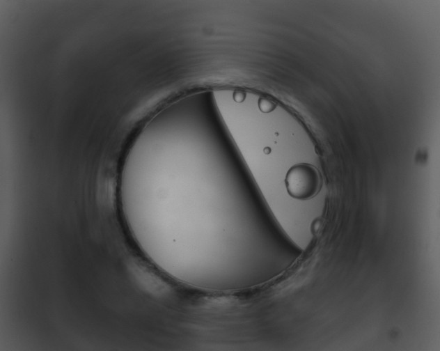 X0000101970446200807180730