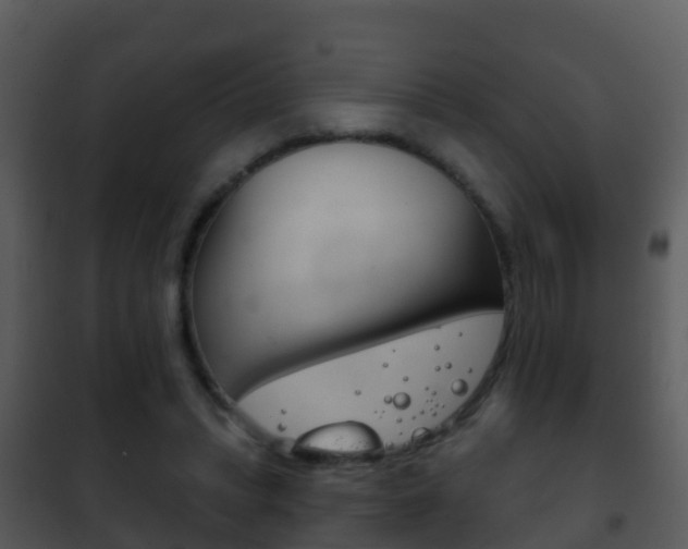 X0000101970447200807180730