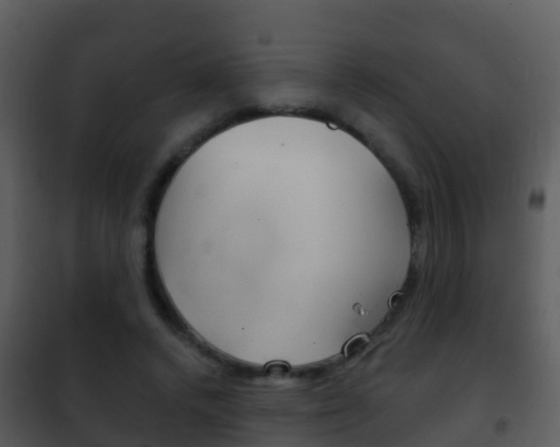 X0000101970448200807180730