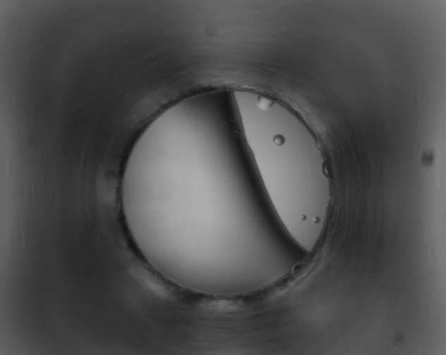 X0000101970449200807180730