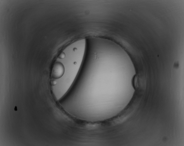 X0000101970450200807180730