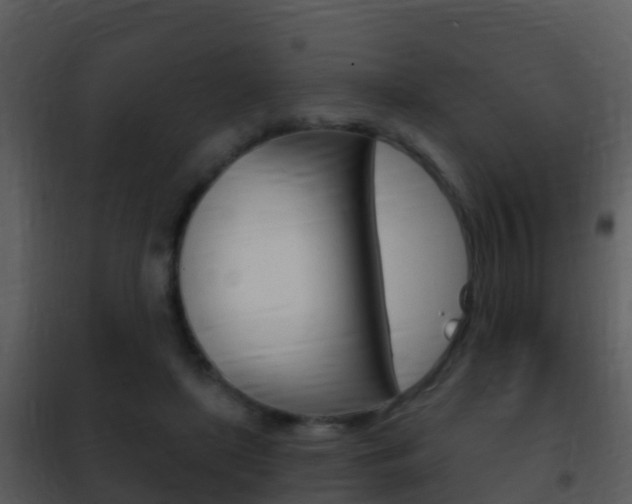 X0000101970451200807180730