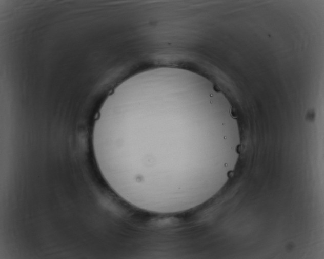X0000101970452200807180730