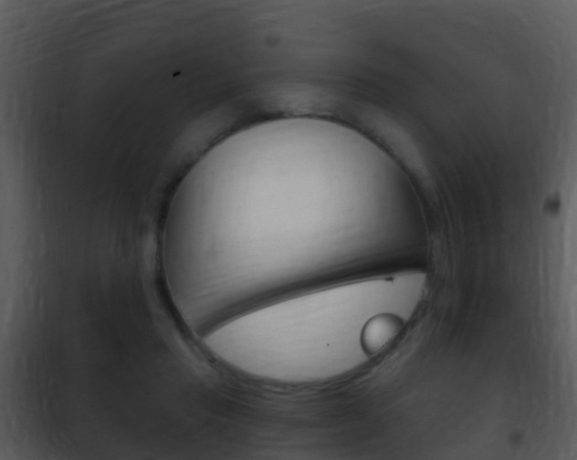 X0000101970453200807180730