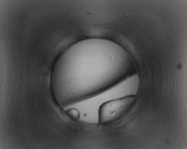X0000101970454200807180730