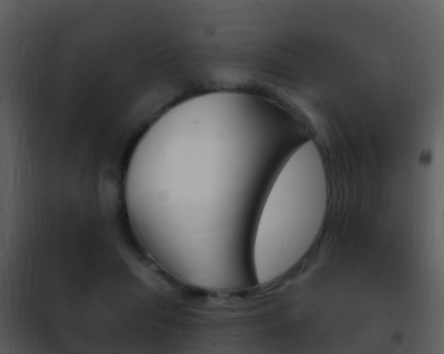 X0000101970455200807180730