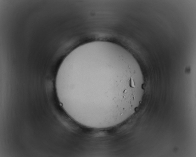X0000101970456200807180730