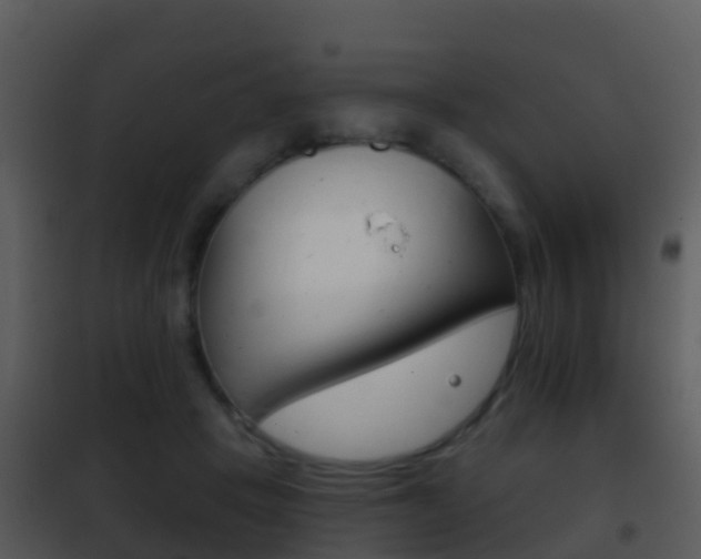 X0000101970457200807180730