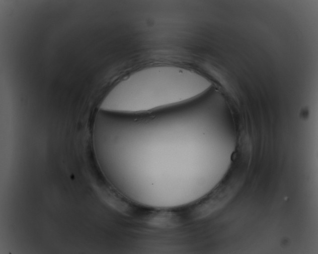 X0000101970459200807180730