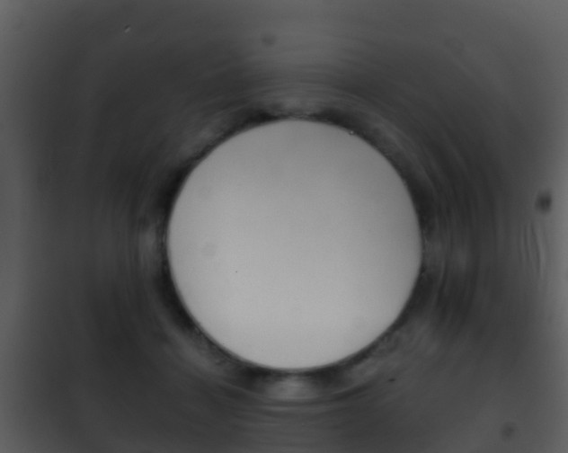 X0000101970460200807180730