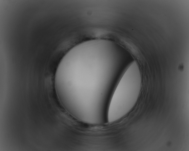 X0000101970461200807180730