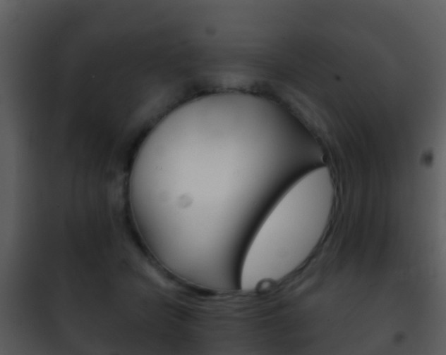 X0000101970462200807180730