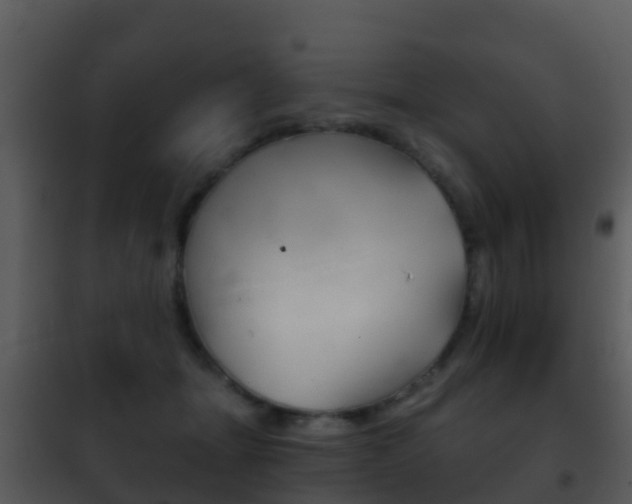 X0000101970463200807180730