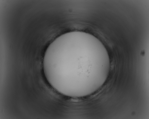 X0000101970464200807180730