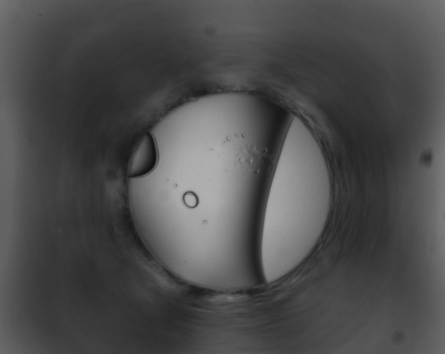 X0000101970465200807180730