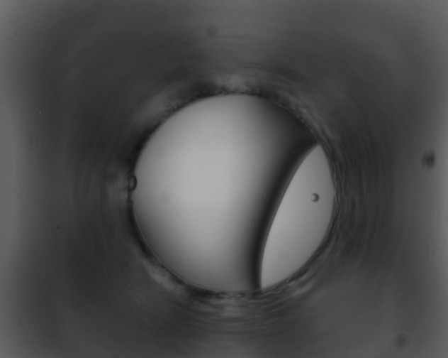 X0000101970466200807180730