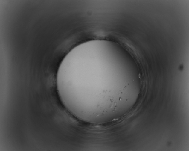 X0000101970467200807180730