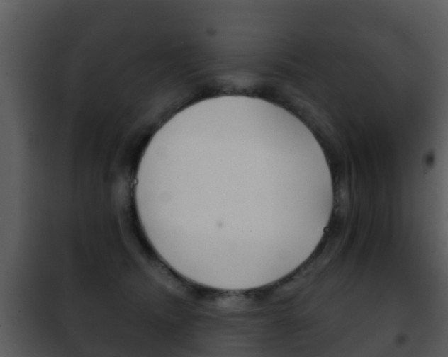 X0000101970468200807180730