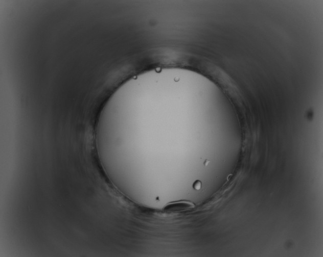 X0000101970469200807180730