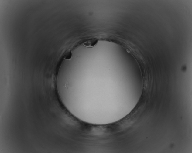 X0000101970470200807180730