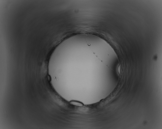 X0000101970471200807180730