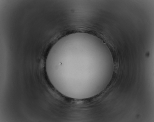 X0000101970472200807180730