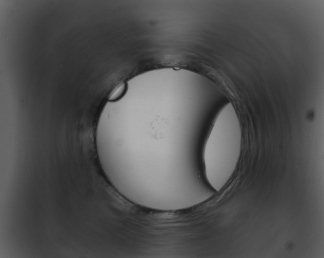 X0000101970473200807180730