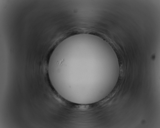 X0000101970474200807180731
