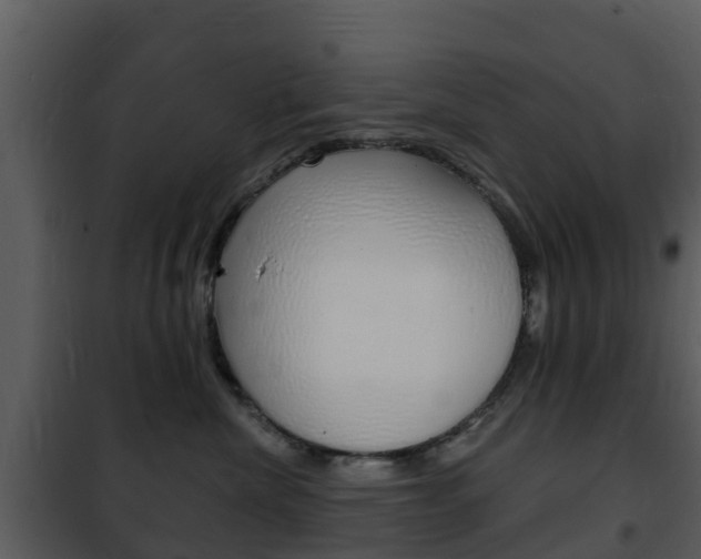 X0000101970476200807180731