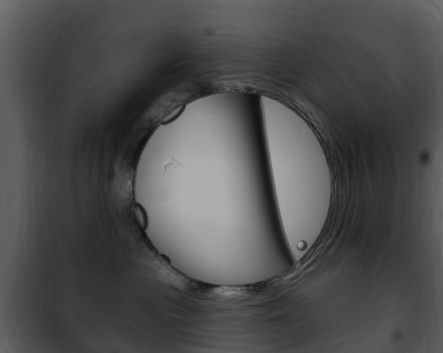 X0000101970477200807180731
