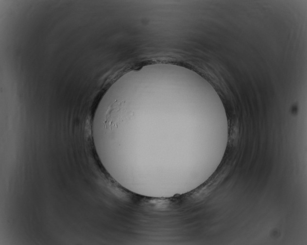 X0000101970478200807180731