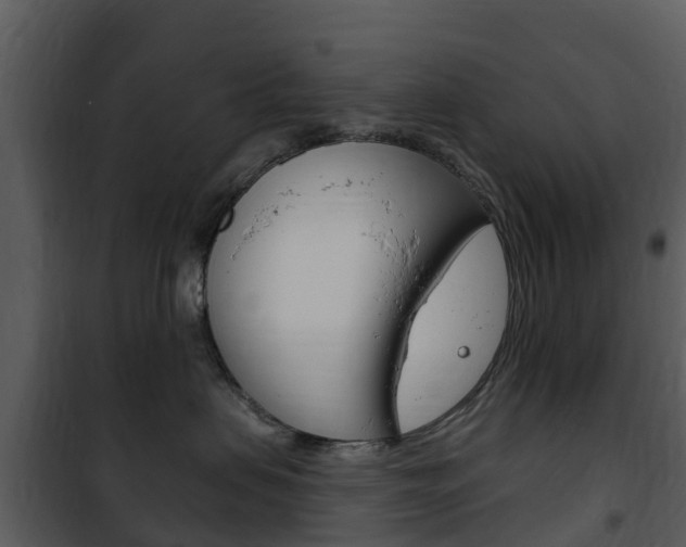 X0000101970479200807180731