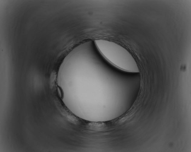X0000101970480200807180731