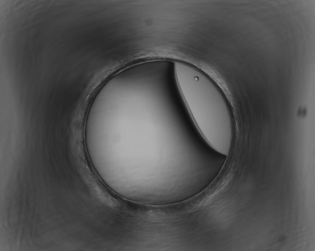 X0000101970481200807180730