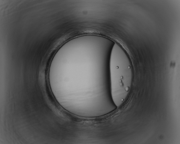 X0000101970482200807180730