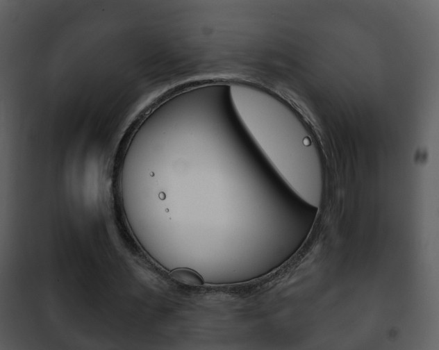 X0000101970483200807180730