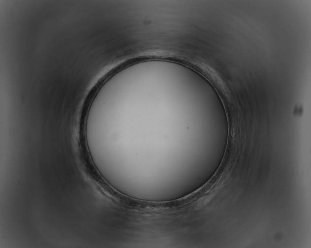 X0000101970484200807180730