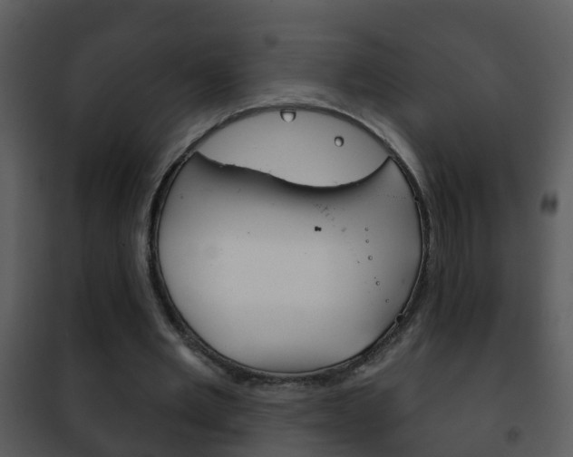 X0000101970485200807180730