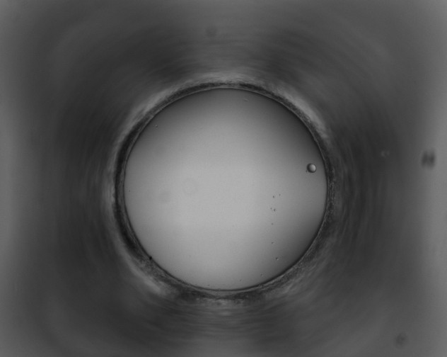 X0000101970486200807180730