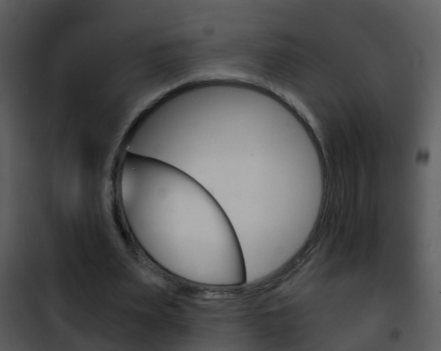 X0000101970487200807180730
