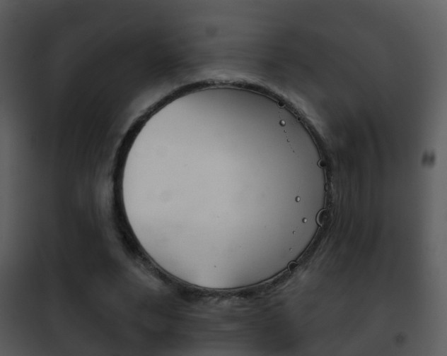 X0000101970488200807180730