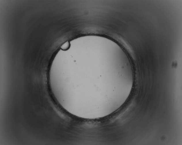 X0000101970489200807180730